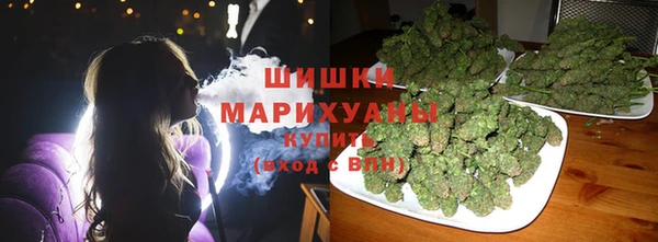PSILOCYBIN Богородицк